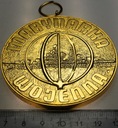Medal Marynarka Wojenna Za Osiągnięcia Sportowe WOSF MW ZŁOCONY