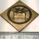 Medal MAŁY 1981 Konstytucja 3 Maja Ustawa Rządowa Stronnictwo Demokratyczne