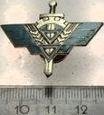 Odznaka 8 Pułk Zabezpieczenia Lotnictwa Poznań