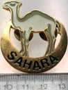 Odznaka Misji Narodów Zjednoczonych (SAHARA)
