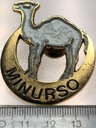 Odznaka Misji Narodów Zjednoczonych (MINURSO) (nr 2)