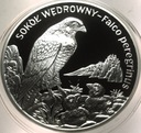 20 zł złotych 2008 SOKÓŁ Wędrowny Zwierzęta Świata SREBRO