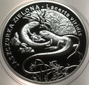 20 zł złotych 2009 Jaszczurka Zielona Zwierzęta Świata SREBRO
