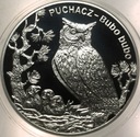 20 zł złotych 2005 Puchacz Zwierzęta Świata SREBRO