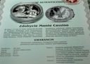 Zdobycie Monte Cassino Polacy w II Wojnie Światowej SREBRO