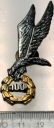 Odznaka Skoczek Wojsk Powietrznodesantowych 100 skoków