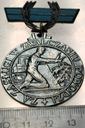 Medal Odznaka „Za zasługi w zwalczaniu powodzi”