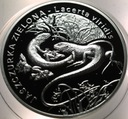 20 zł złotych 2009 Jaszczurka Zielona Zwierzęta Świata SREBRO
