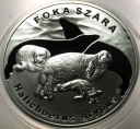 20 zł złotych 2007 FOKA Szara Foki Zwierzęta Świata SREBRO