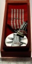 Medal Opiekuna Miejsc Pamięci Narodowej - srebrny