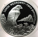 20 zł złotych 2008 SOKÓŁ Wędrowny Zwierzęta Świata SREBRO