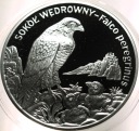 20 zł złotych 2008 SOKÓŁ Wędrowny Zwierzęta Świata SREBRO