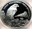 20 zł złotych 2008 SOKÓŁ Wędrowny Zwierzęta Świata SREBRO