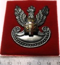 Odznaka 1996 Stowarzyszenie Polskich Kombatantów SPK 50 lat Mennica RZADKA