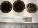 zestaw 3x Odznaki Wzorowy Student Studium Wojskowego brązowa srebrna złota