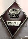 Odznaka WOSL wz.1 Wyższa Oficerska Szkoła Lotnicza Poznań LWP absolwentka