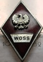 Odznaka WOSS wz.1 Wyższa Oficerska Szkoła Samochodowa Piła PRL absolwentka