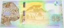 PWPW Banknot Testowy Afryka 55 Africa Lampart Jaguar KURZ