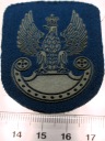 ORZEŁEK Wojska Lądowe mundurowa wojskowa WP guma podkład niebieski (nr 24)