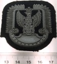 Naszywka ORZEŁEK Wojska Lotnicze mundurowa wojskowa III RP WP guma (nr 09)