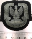 Naszywka ORZEŁEK Wojska Lotnicze mundurowa wojskowa IIIRP WP nadruk (nr 03)