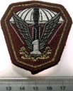 Naszywka 1 Pułk Specjalny Komandosów 1 PSK Lubliniec emblemat III RP nr 2
