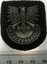 ORZEŁEK Wojska Lądowe orzeł guma LWP PRL (nr 8)