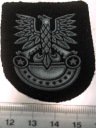 ORZEŁEK Wojska Lądowe orzeł guma LWP PRL (nr 9)