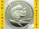 500 zł 1985 Wiewiórka Ochrona Środowiska PIĘKNY L