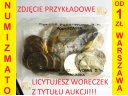 2 zł 2014 Kanonizacja JPII, woreczek menniczy