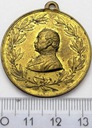Medal Austria 1892