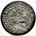 Półgrosz 1514 Wilno Litwa Zygmunt I Stary