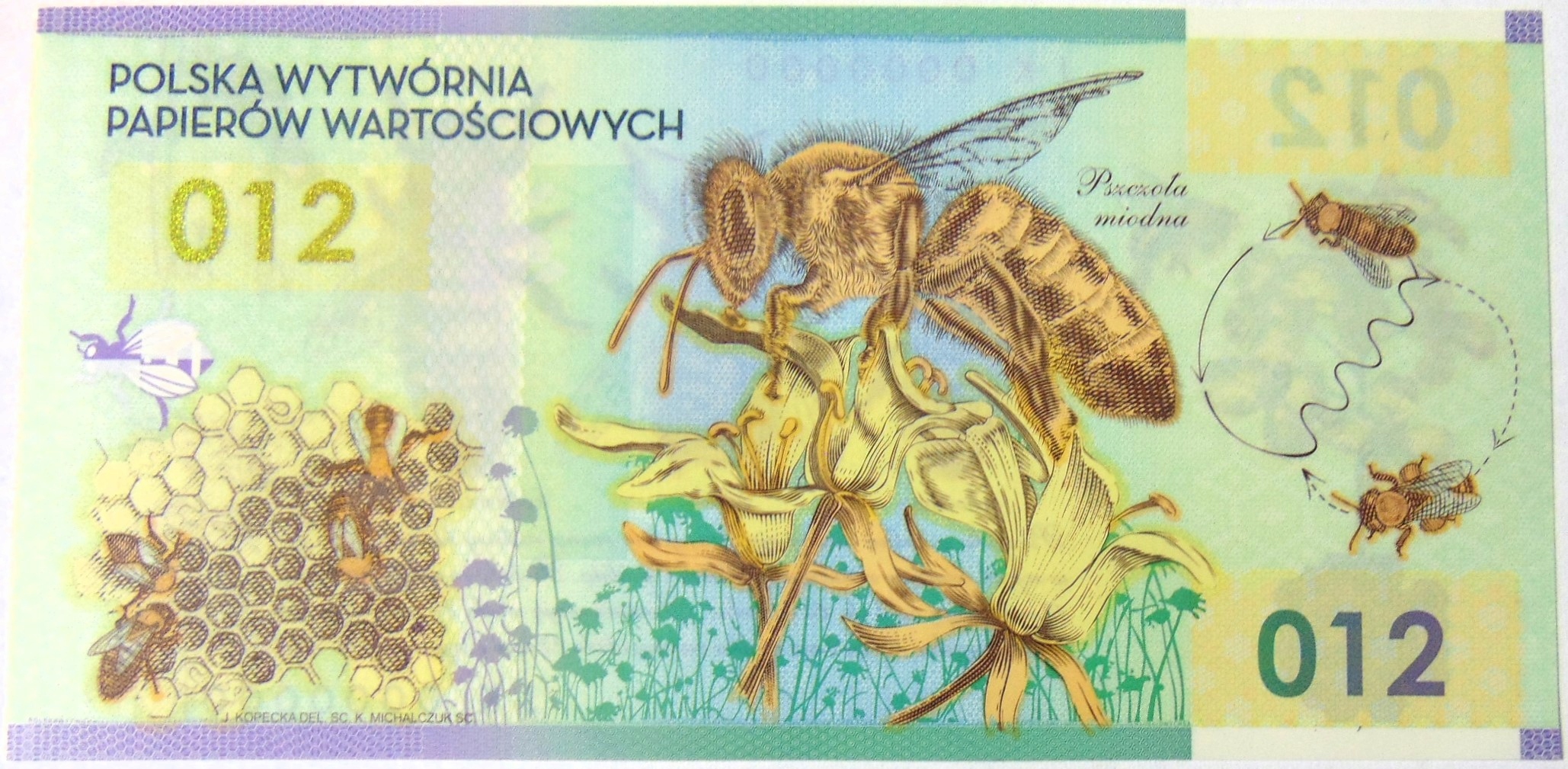 Zdjęcie 16889449866_0