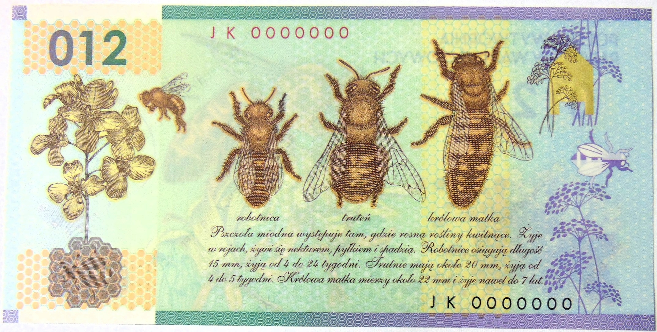 Zdjęcie 16889449866_1