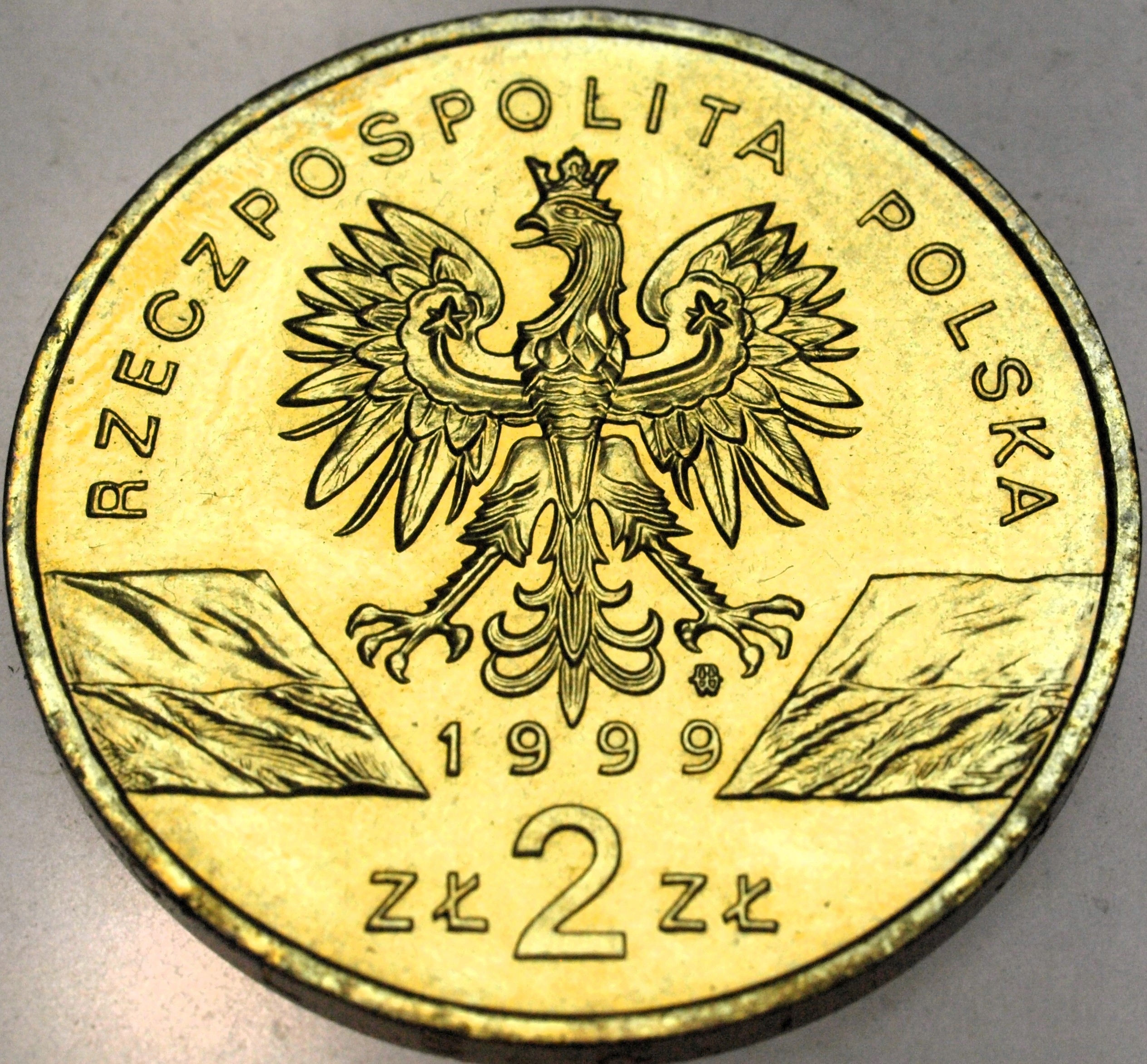 Zdjęcie 17136892539_1