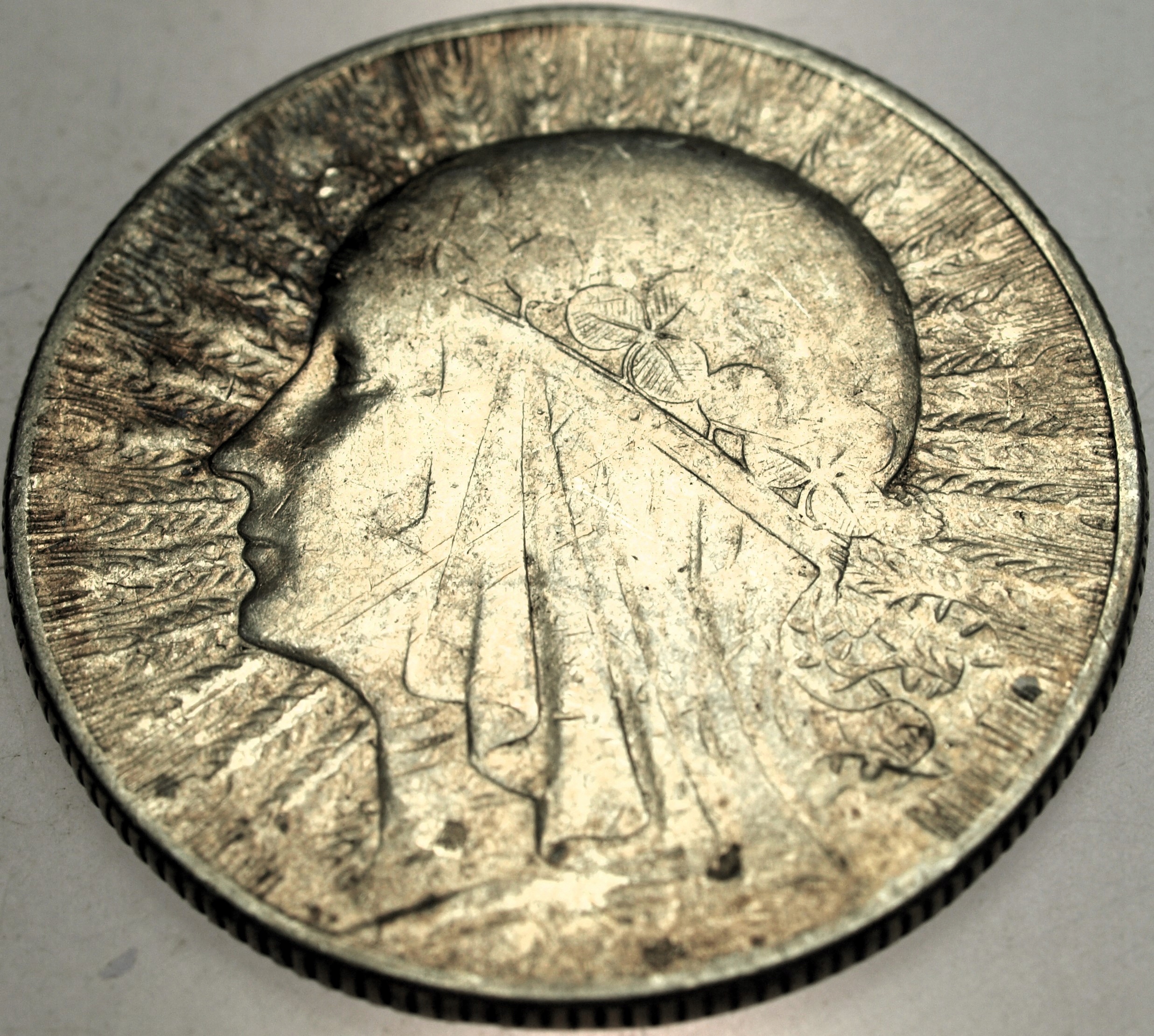 Zdjęcie 17662709862_0