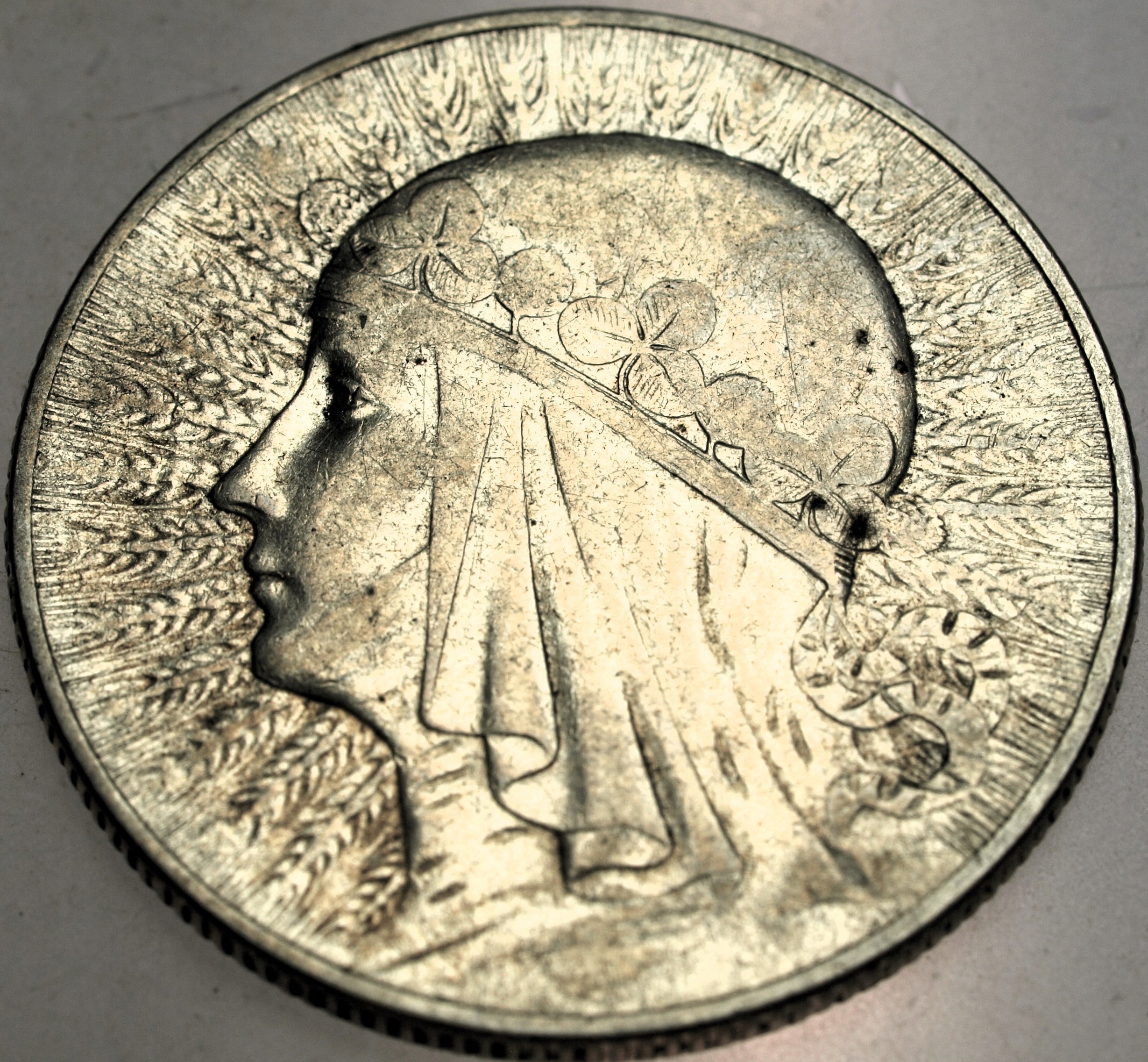 Zdjęcie 17662712443_0