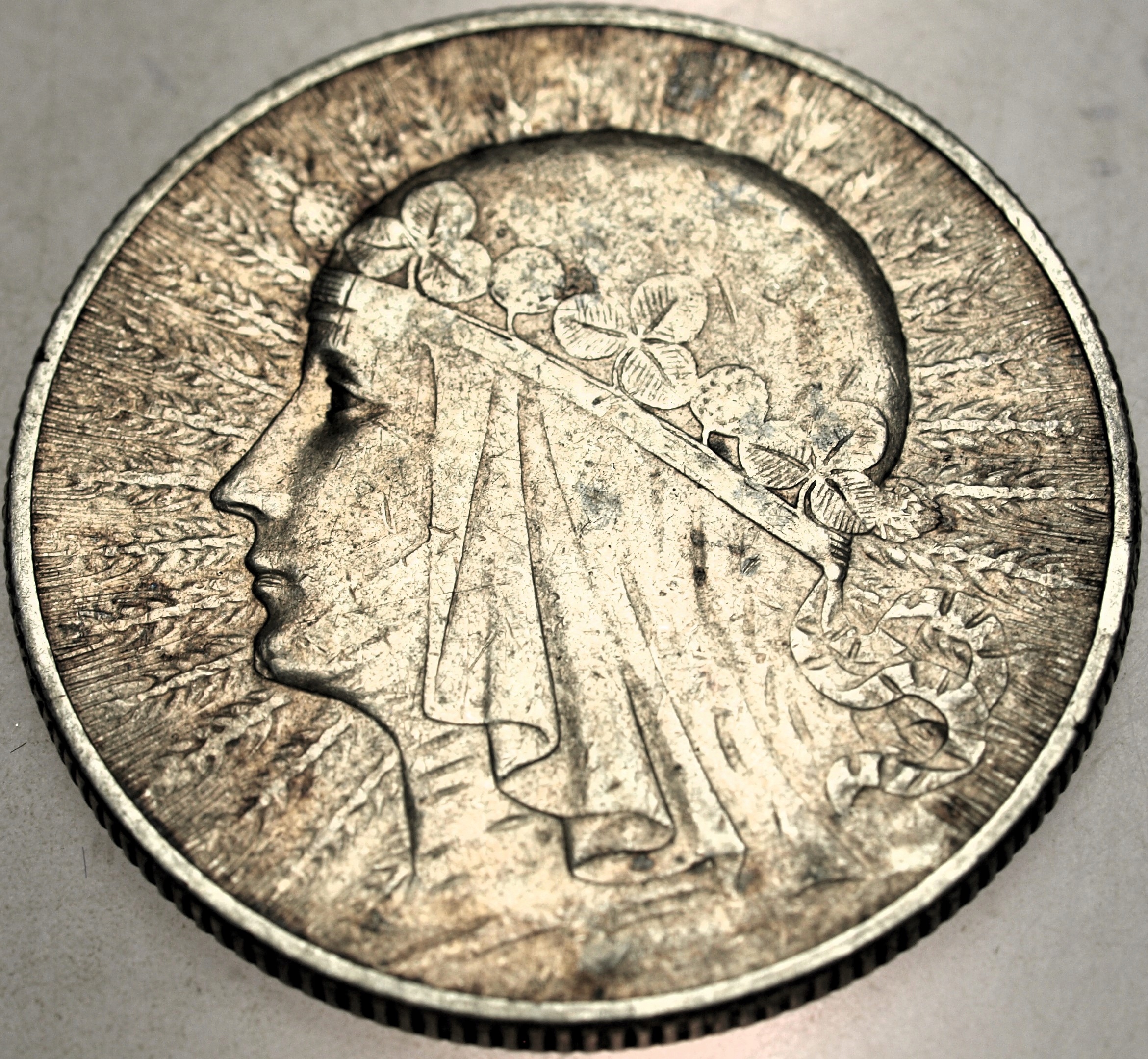 Zdjęcie 17666537060_0