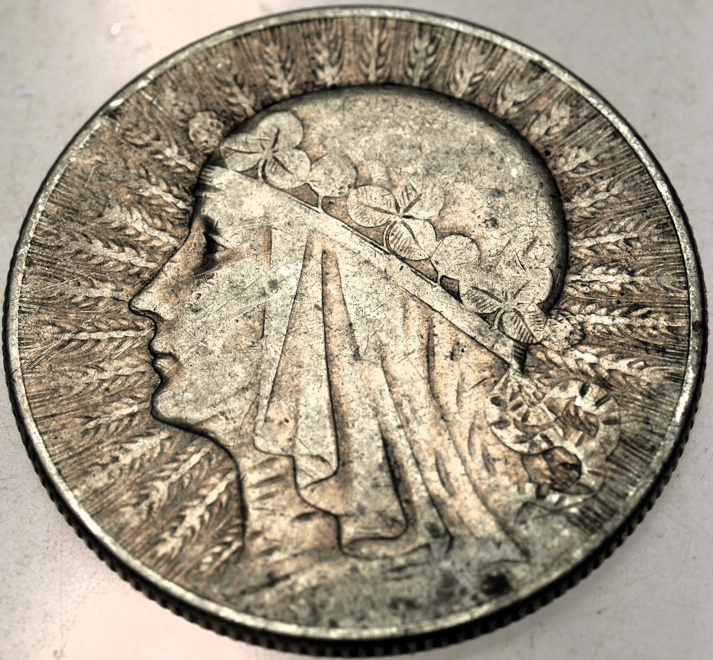 Zdjęcie 17666542595_0