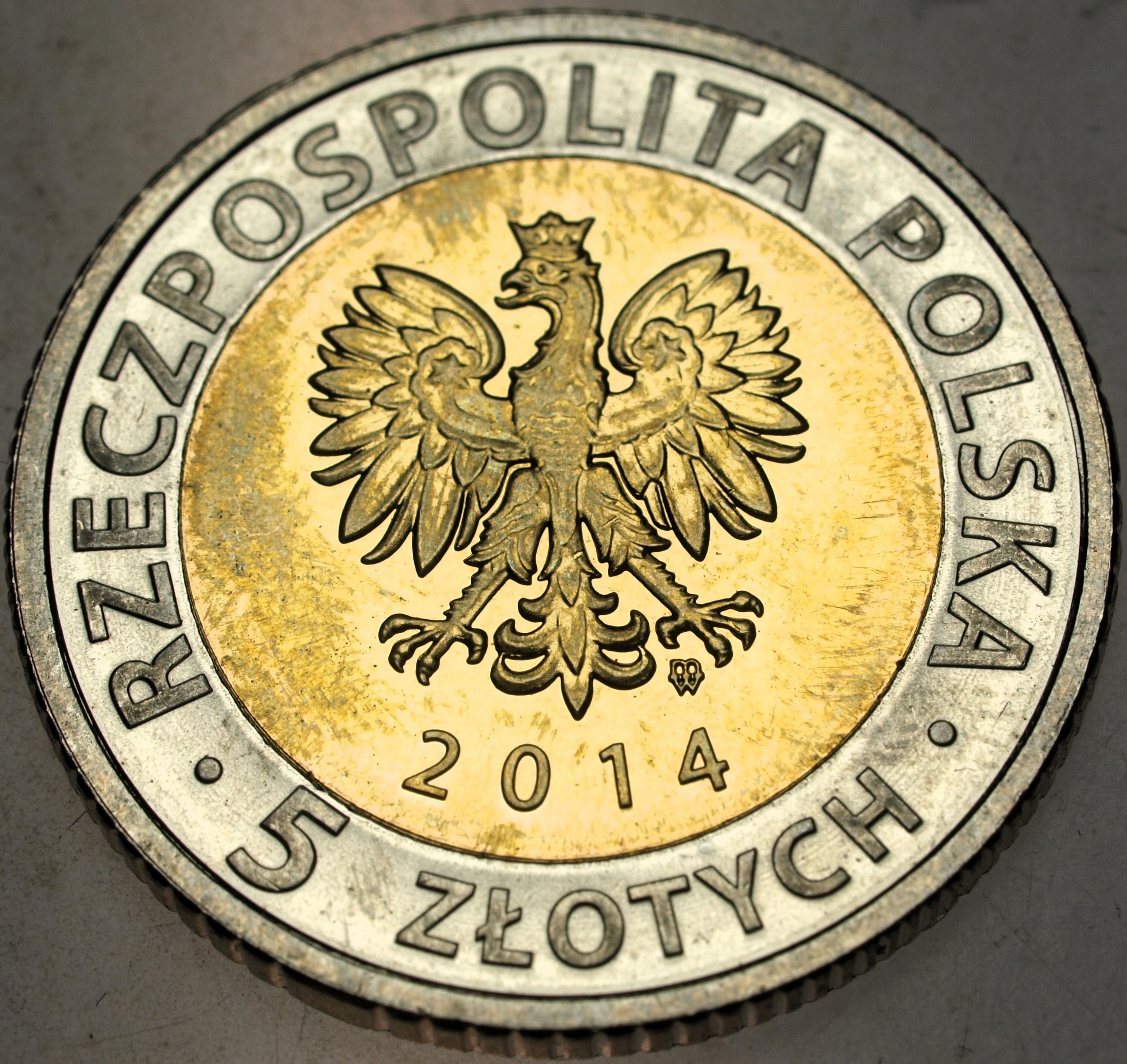 Zdjęcie 17666545657_1