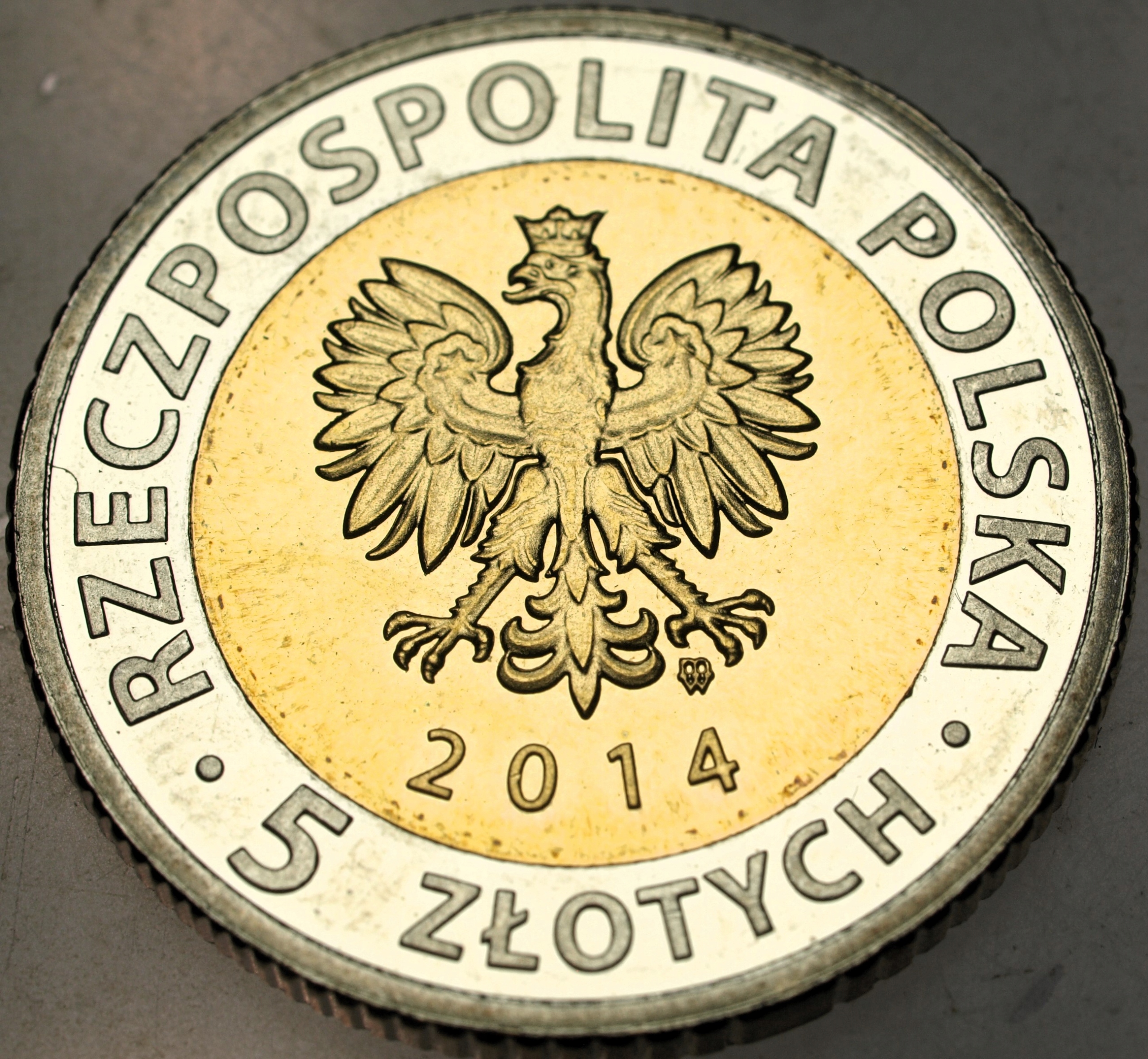 Zdjęcie 17666546962_1