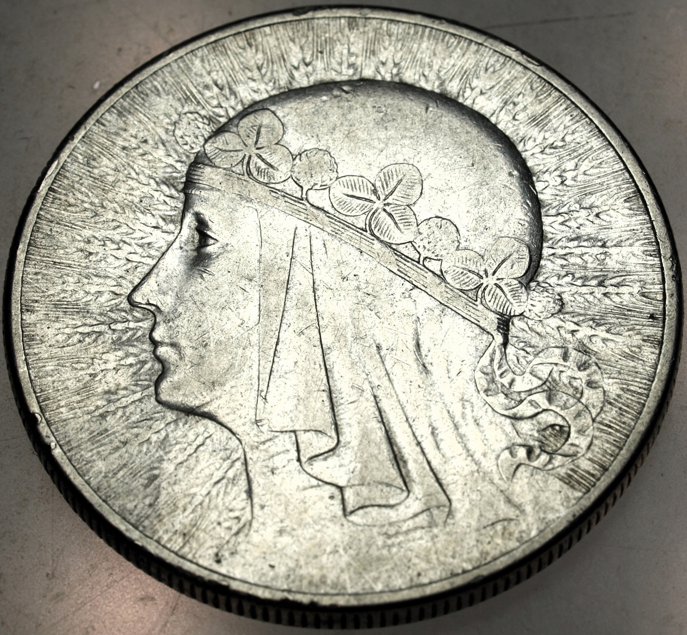 Zdjęcie 17666548453_0