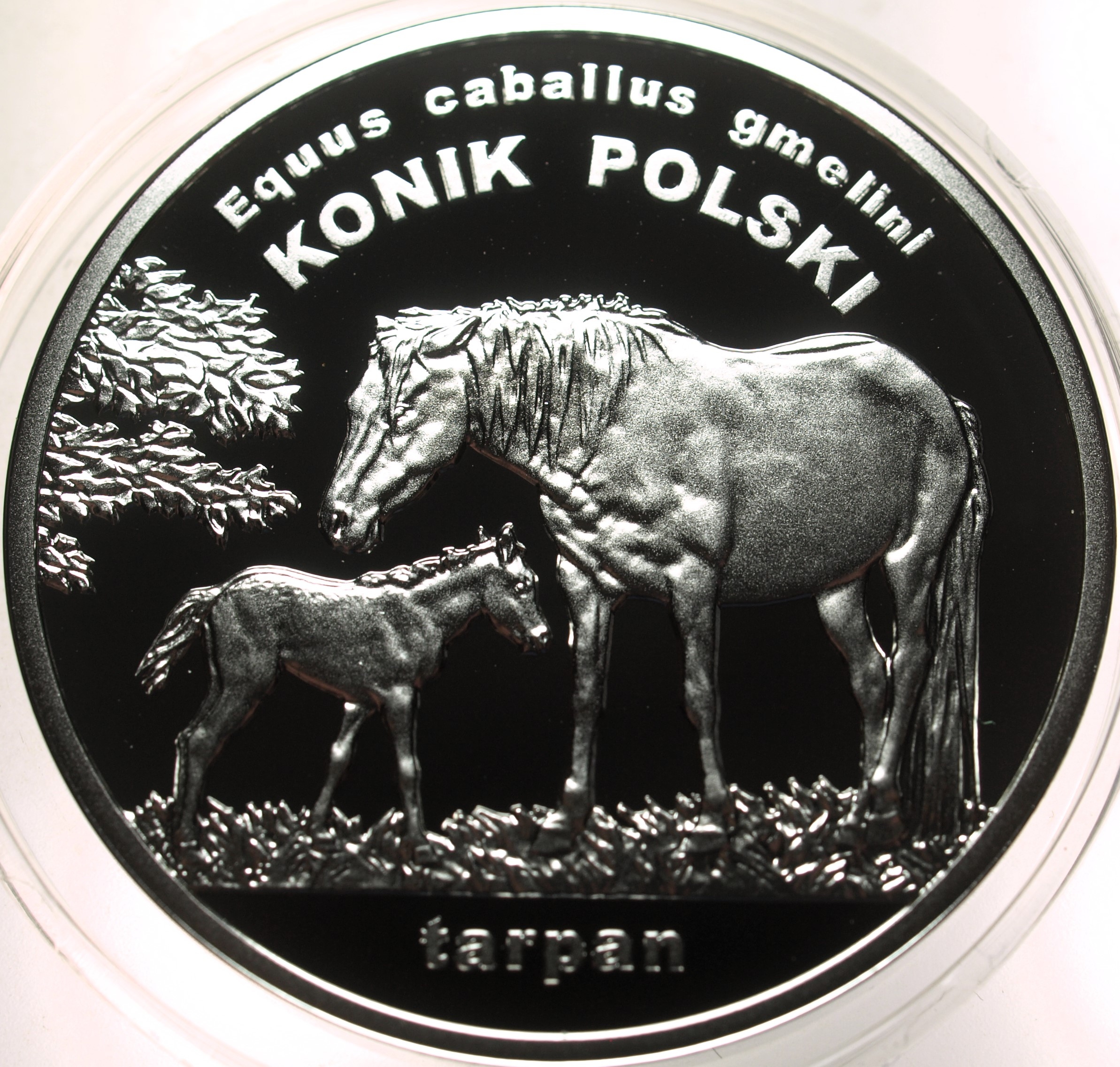 Zdjęcie 17666571855_1