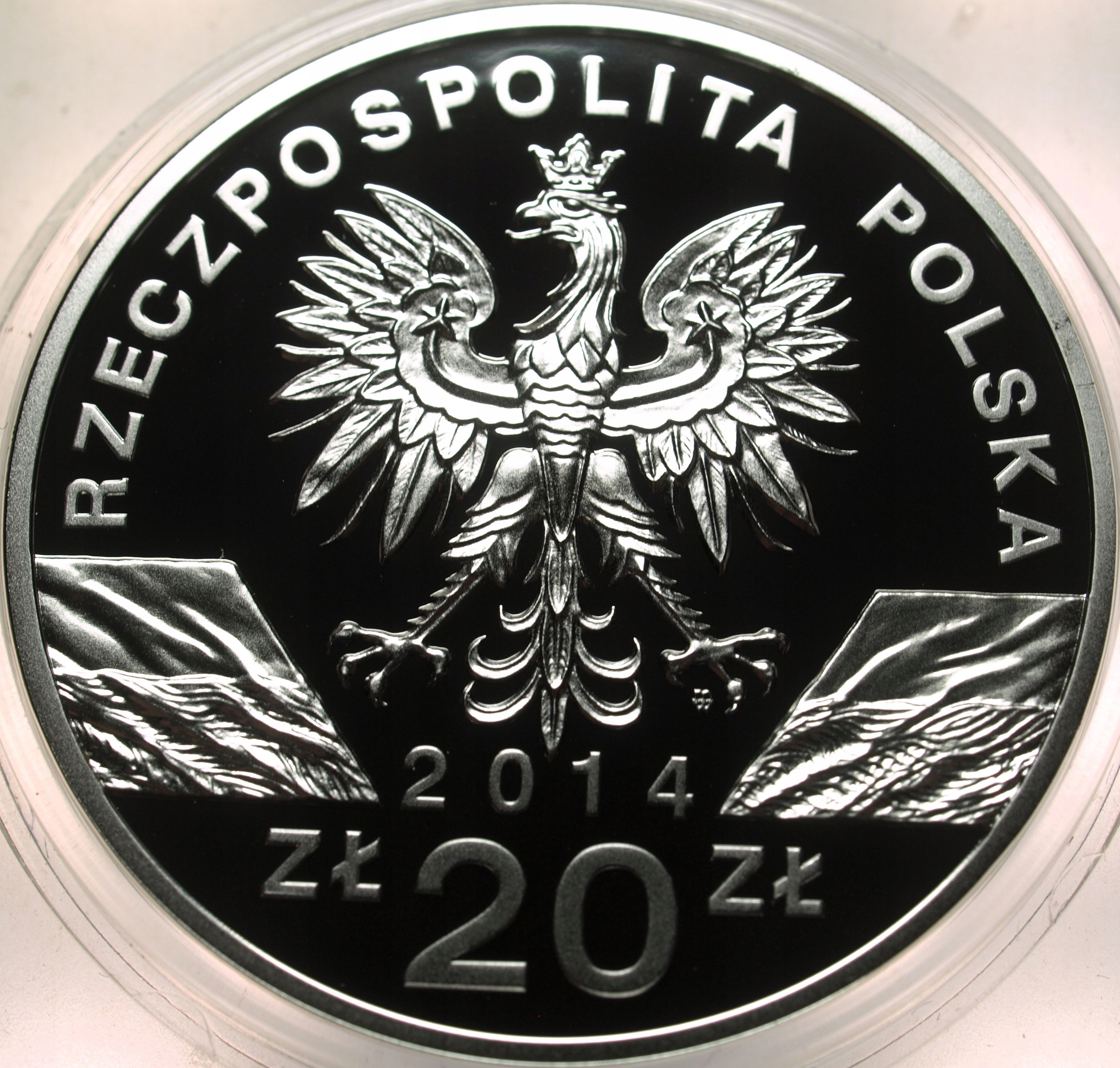 Zdjęcie 17666571855_2