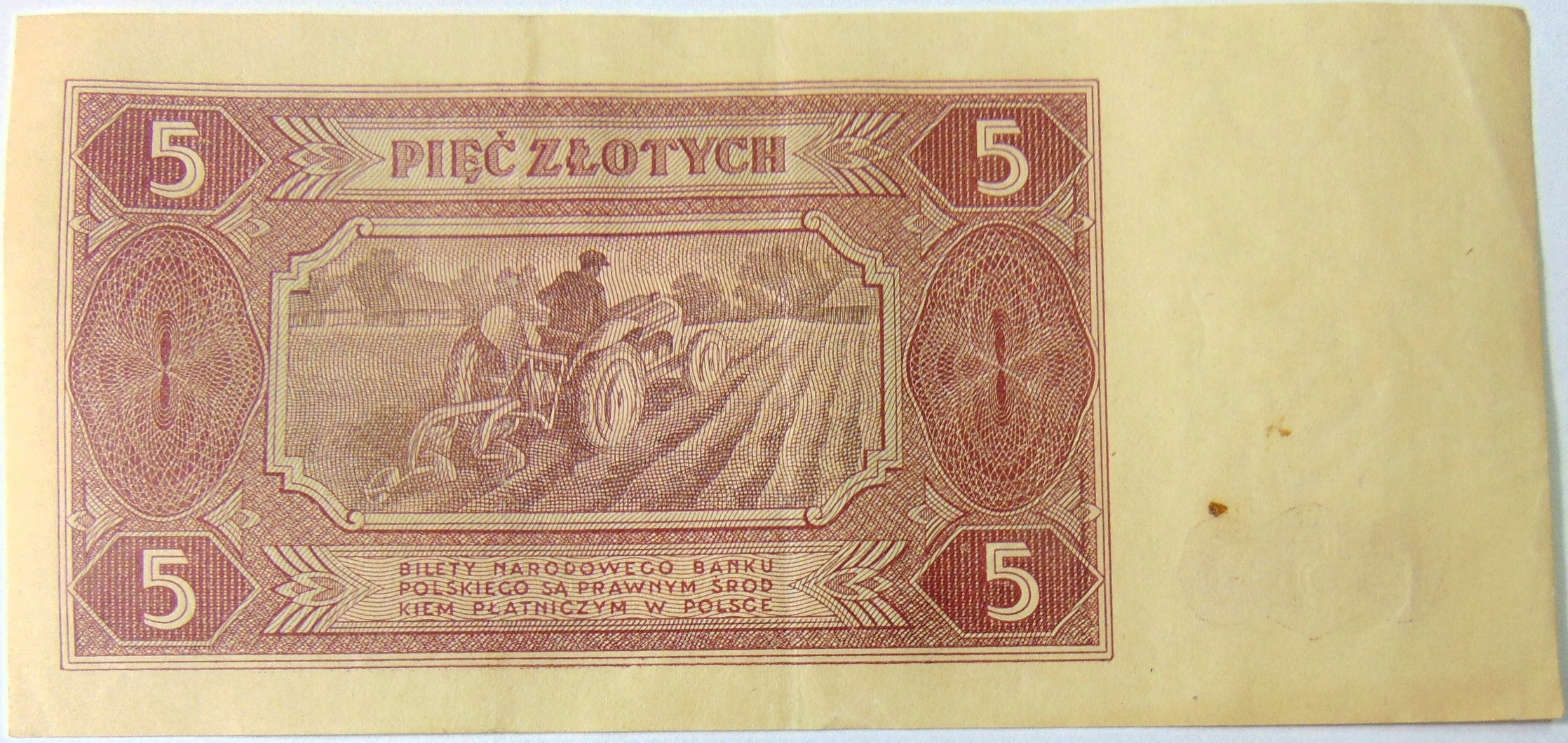 Zdjęcie 17669136560_1