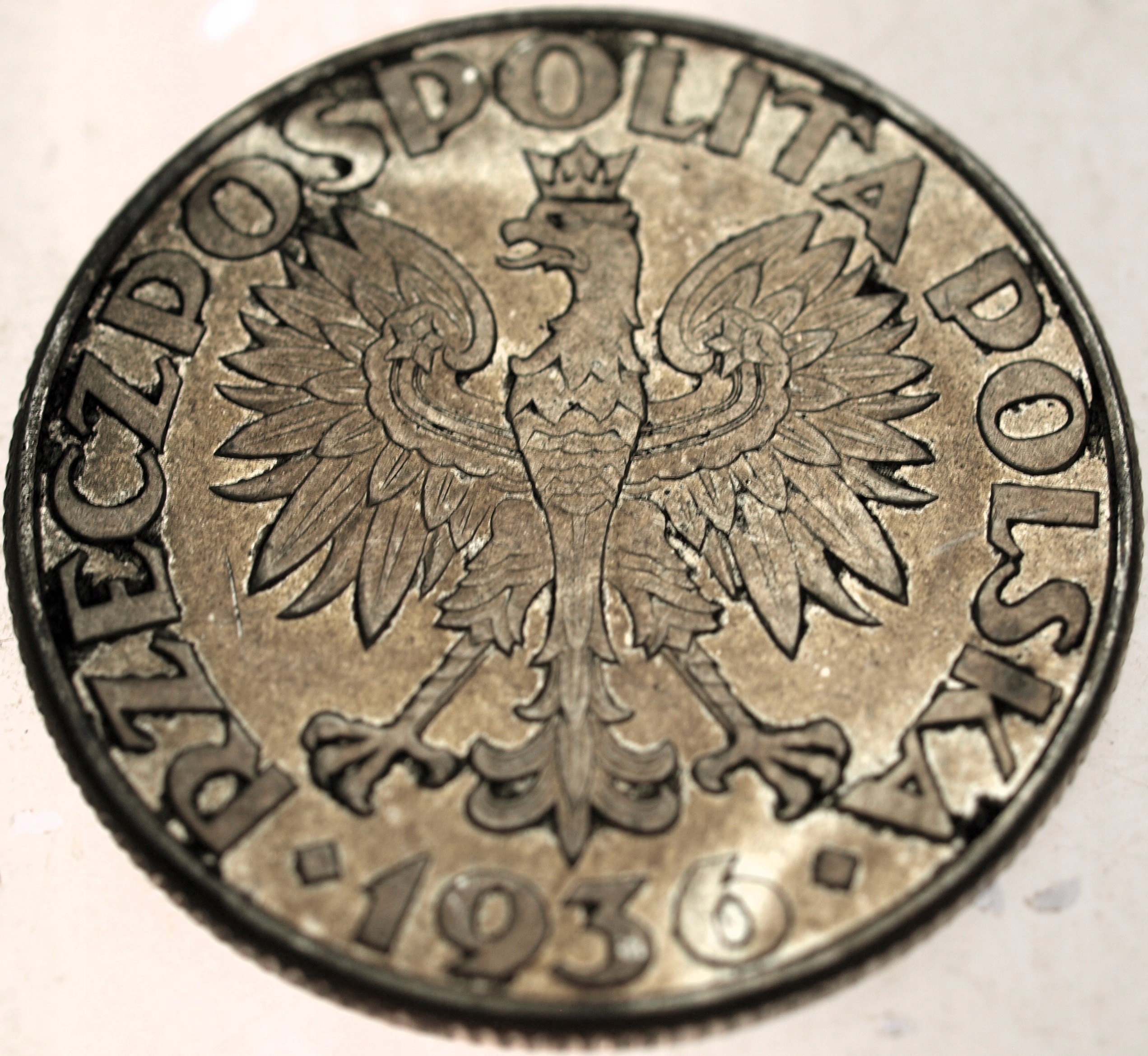 Zdjęcie 17698558950_1