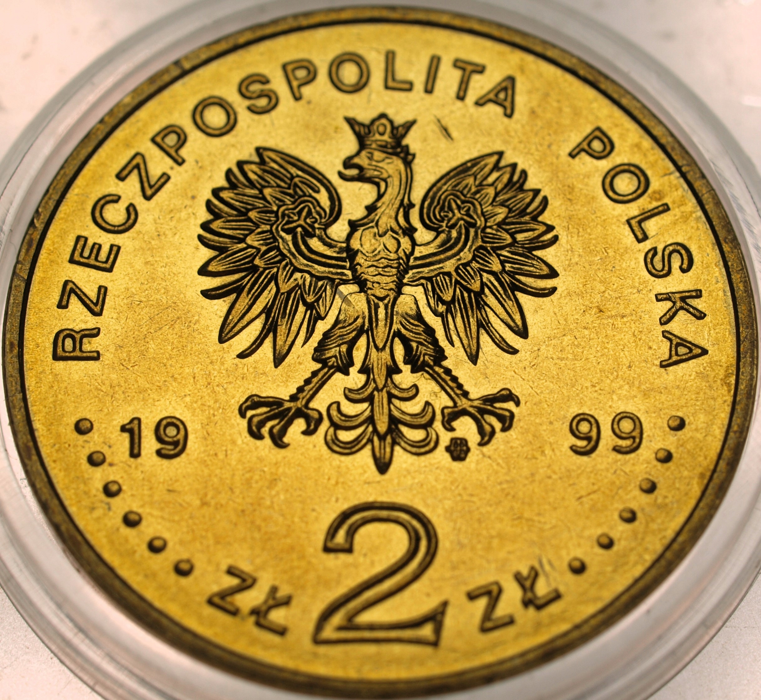 Zdjęcie 17698564988_1