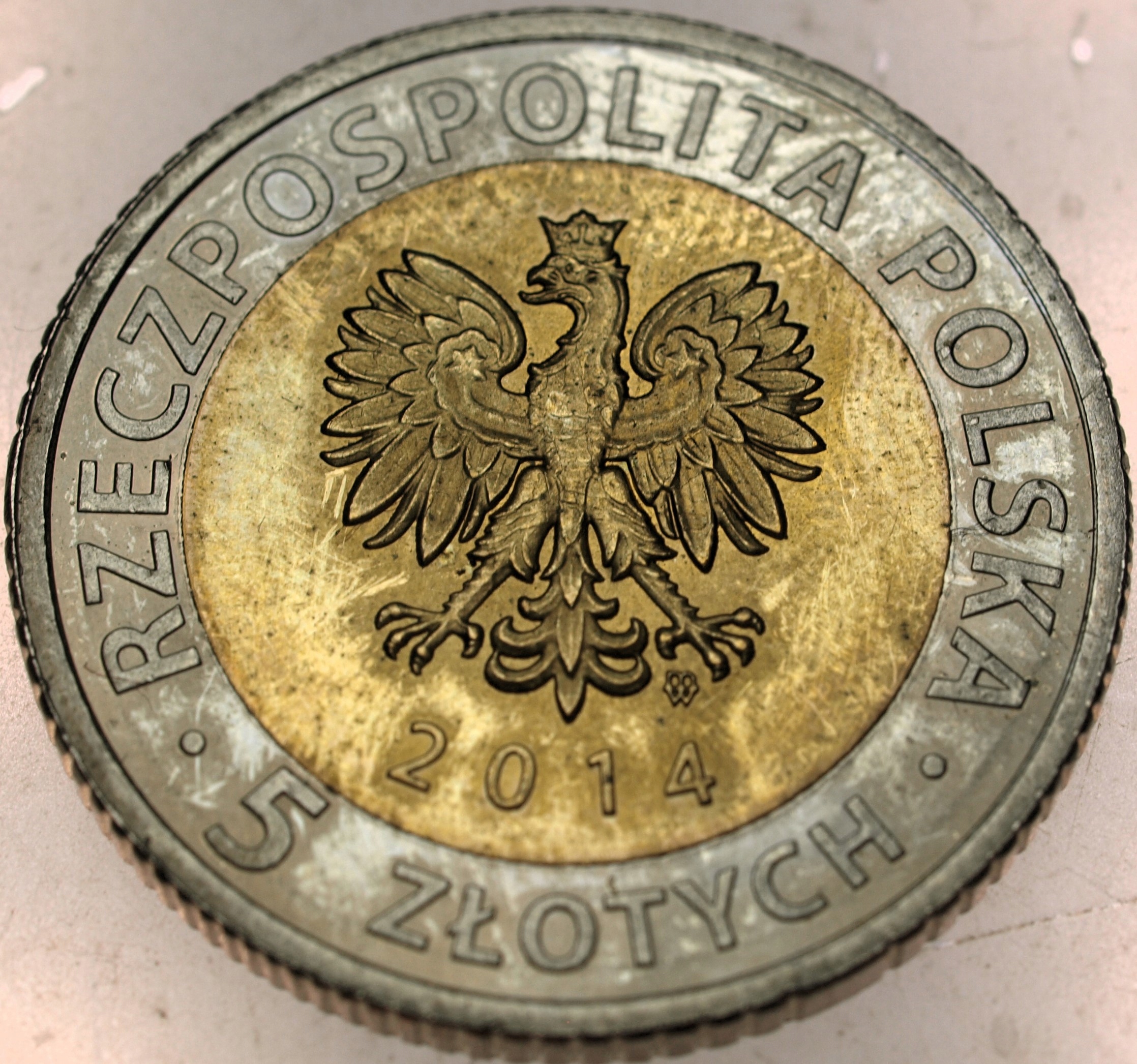 Zdjęcie 17698580119_1