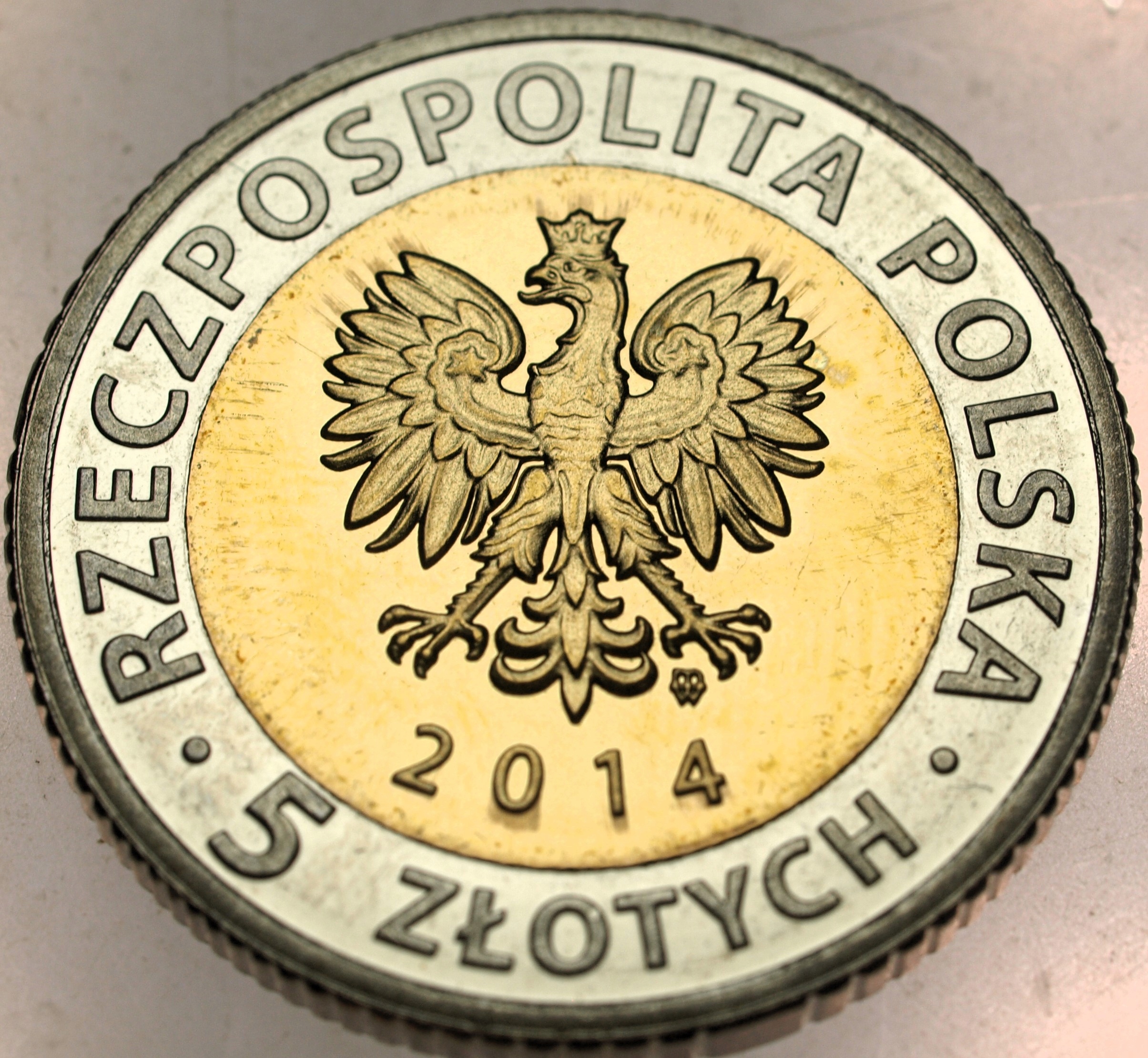 Zdjęcie 17698581985_1