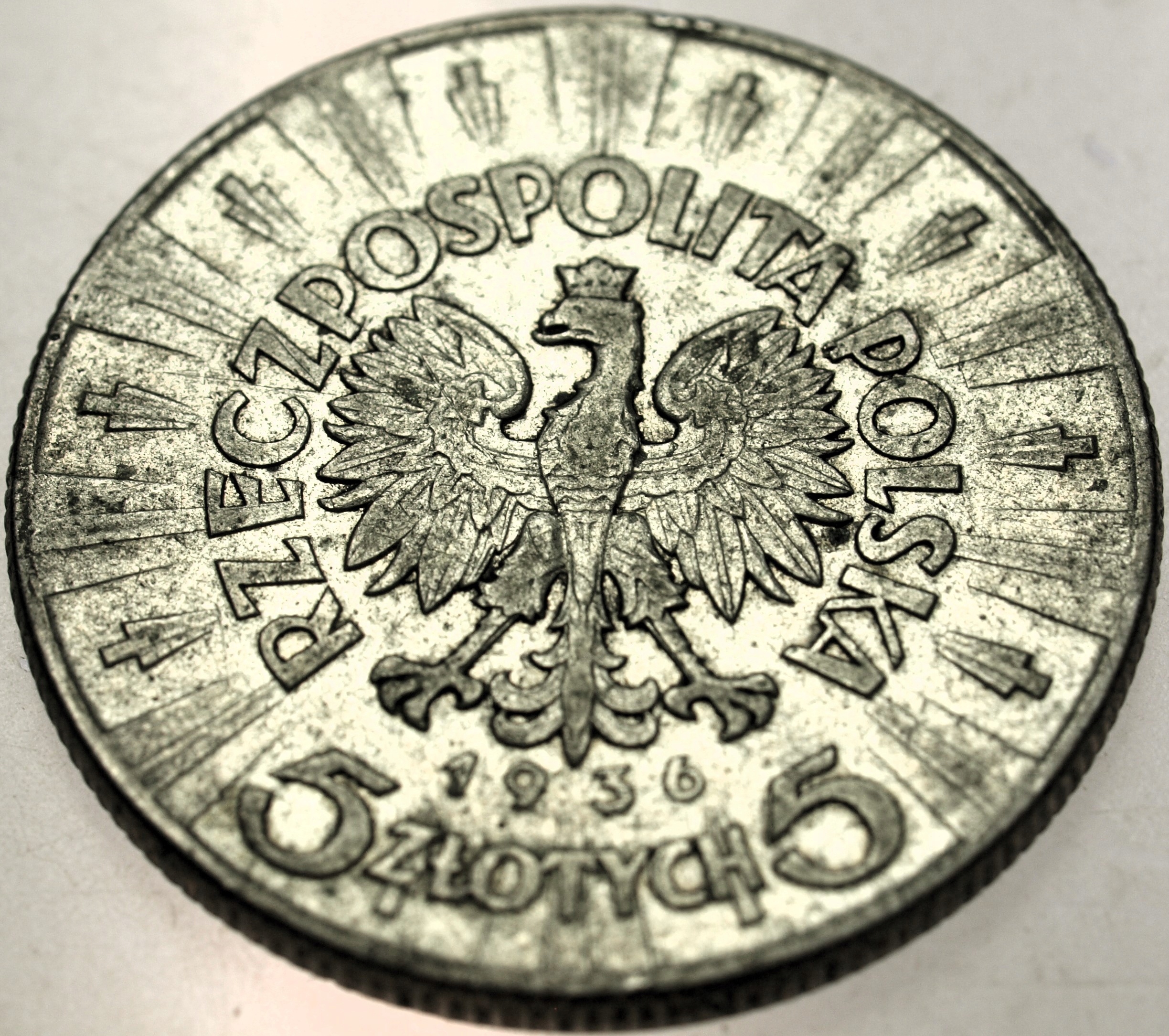 Zdjęcie 17700950767_1
